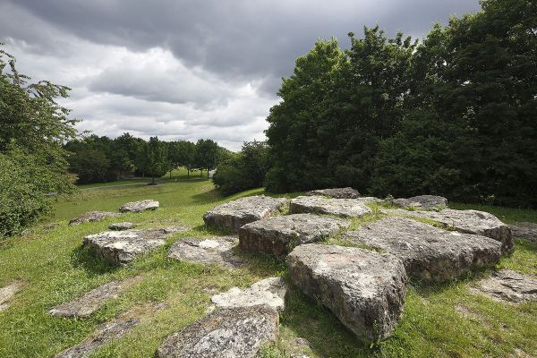 Fotografie -  Ziegetsdorfer Park