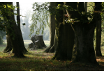 Der Dörnbergpark – ein englischer Landschaftsgarten im Wandel (C) Bilddokumentation Stadt Regensburg