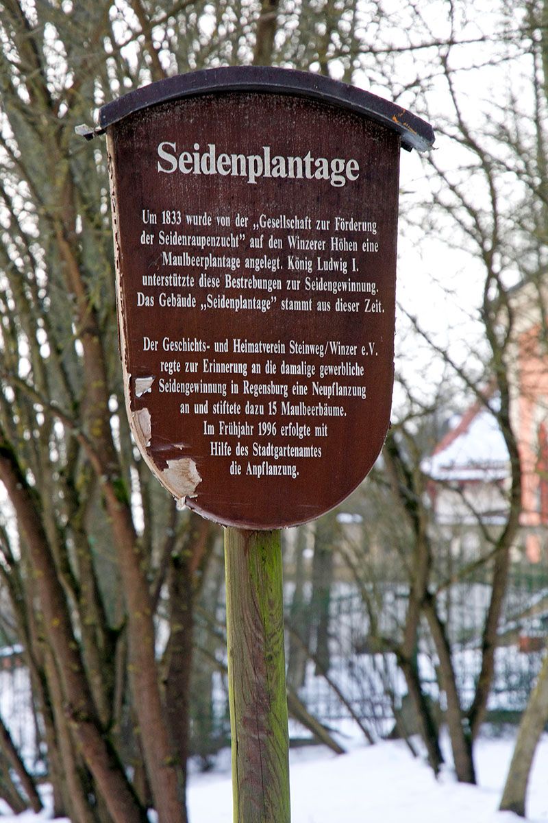 Fotografie - Infotafel Seidenplantage