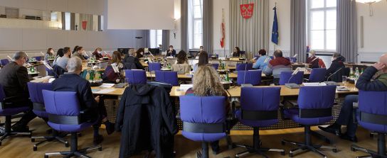 Integrationsbeirat - Sitzung 2021 (C) Bilddokumentation Stadt Regensburg
