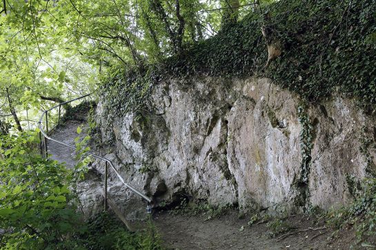 Fotografie - Wandersteig (C) Bilddokumentation Stadt Regensburg