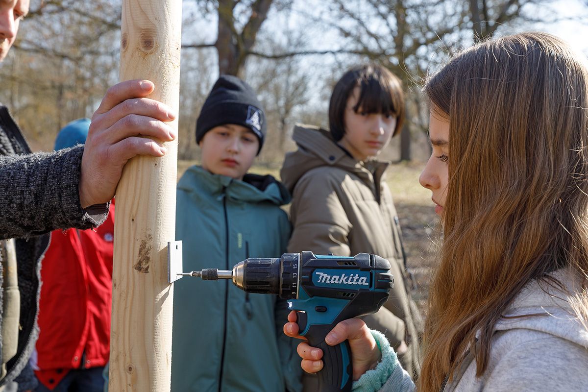 Fotografie - Eine Kinderbeirätin befestigt mit dem Akkuschrauber ein Namensschild für den gepflanzten Baum am Stützpfosten