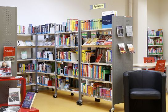 Foto Bücherregale mit Sachbüchern (C) Peter Ferstl