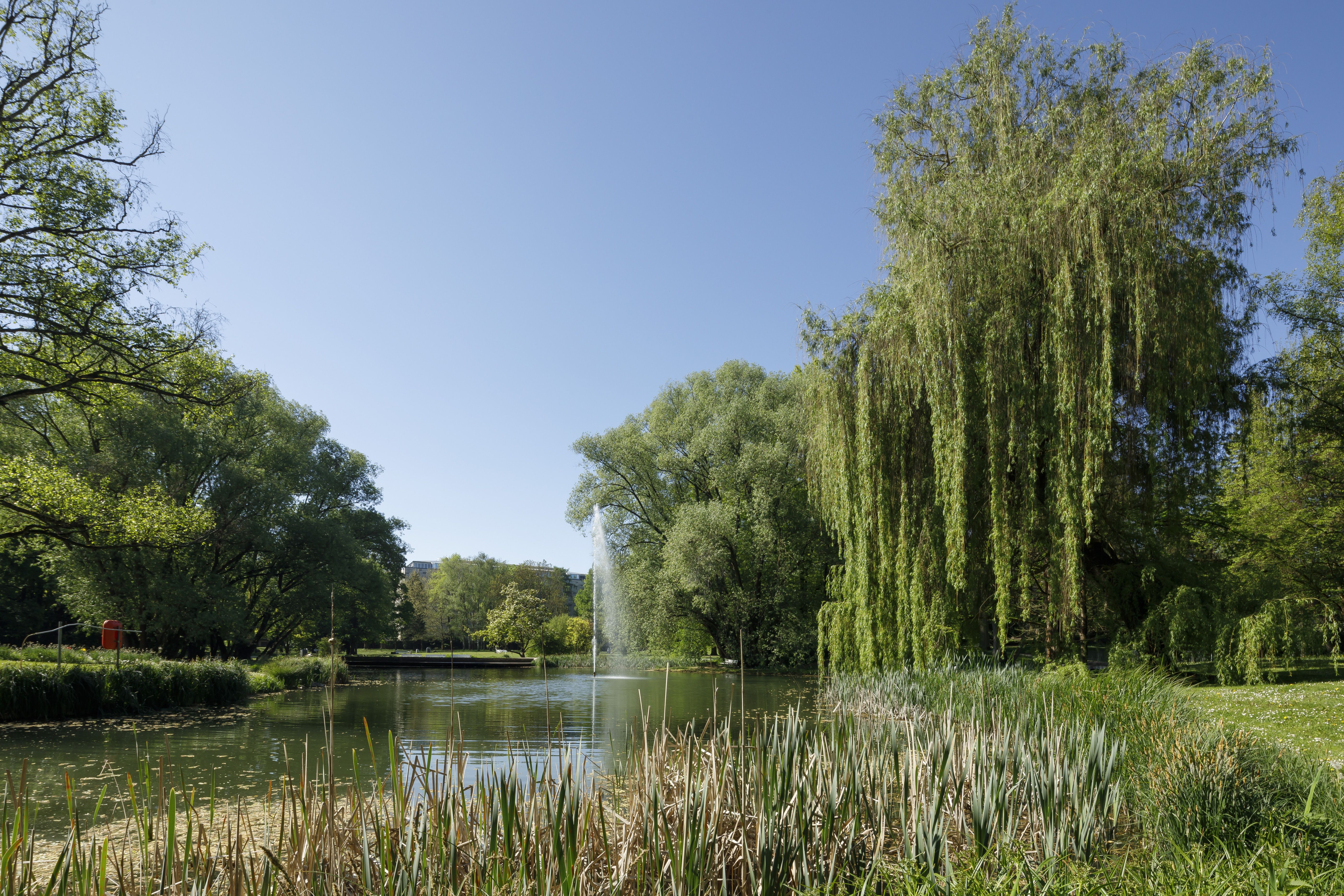 Fotografie: Weiher im Stadtpark
