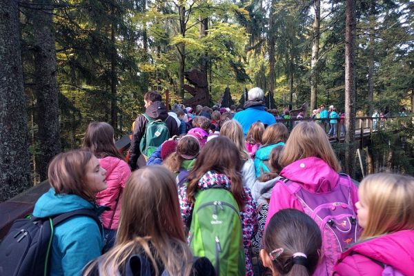  Wanderung im Wald