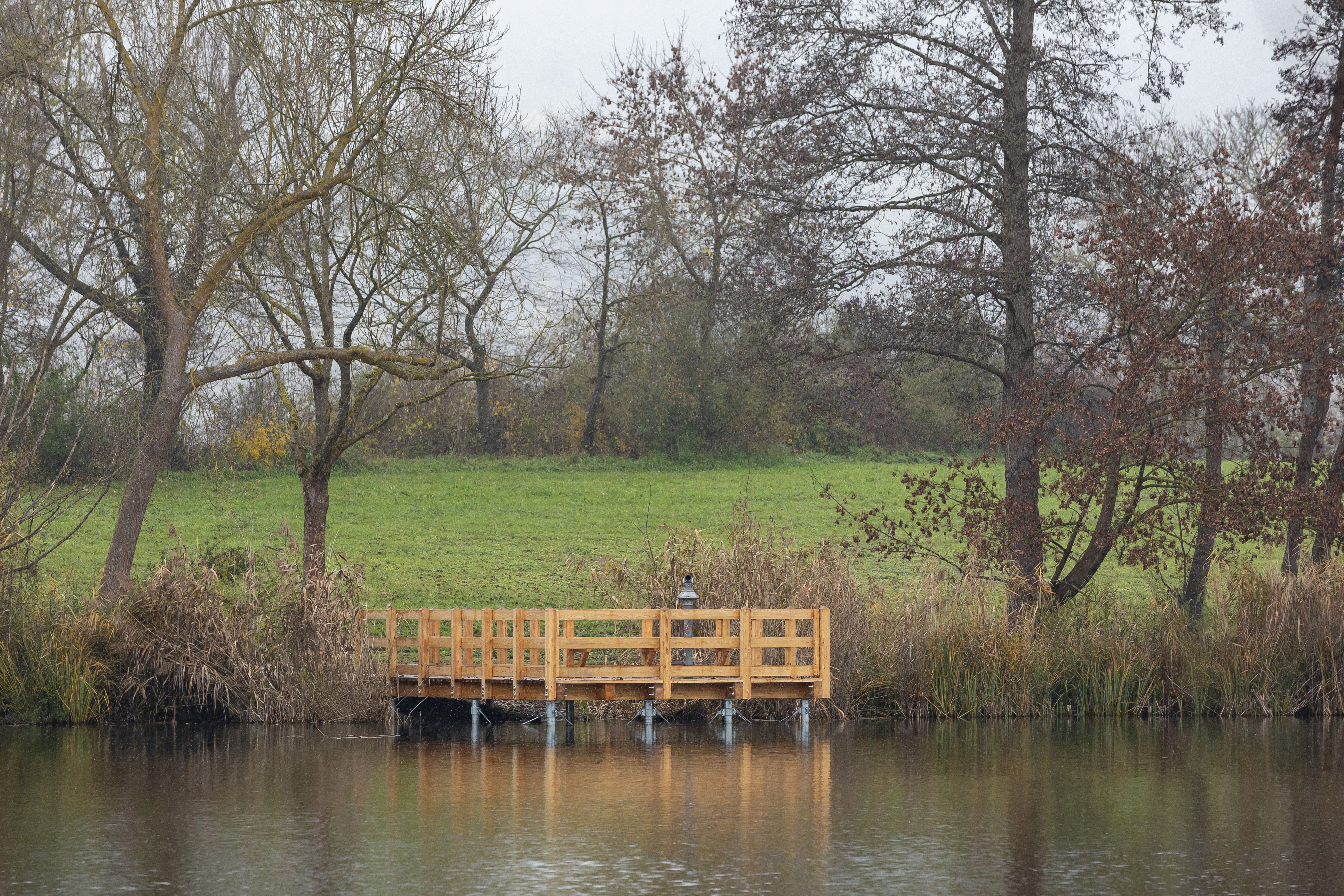 Fotografie: Der neue Steg am Westbadweiher von der gegenüberliegenden Uferseite 
