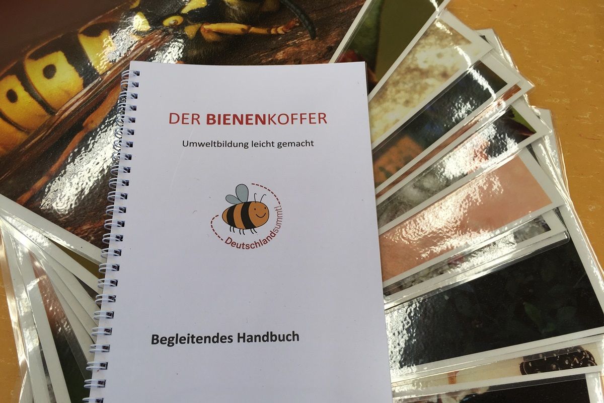 Vorschaubild Bienenkoffer