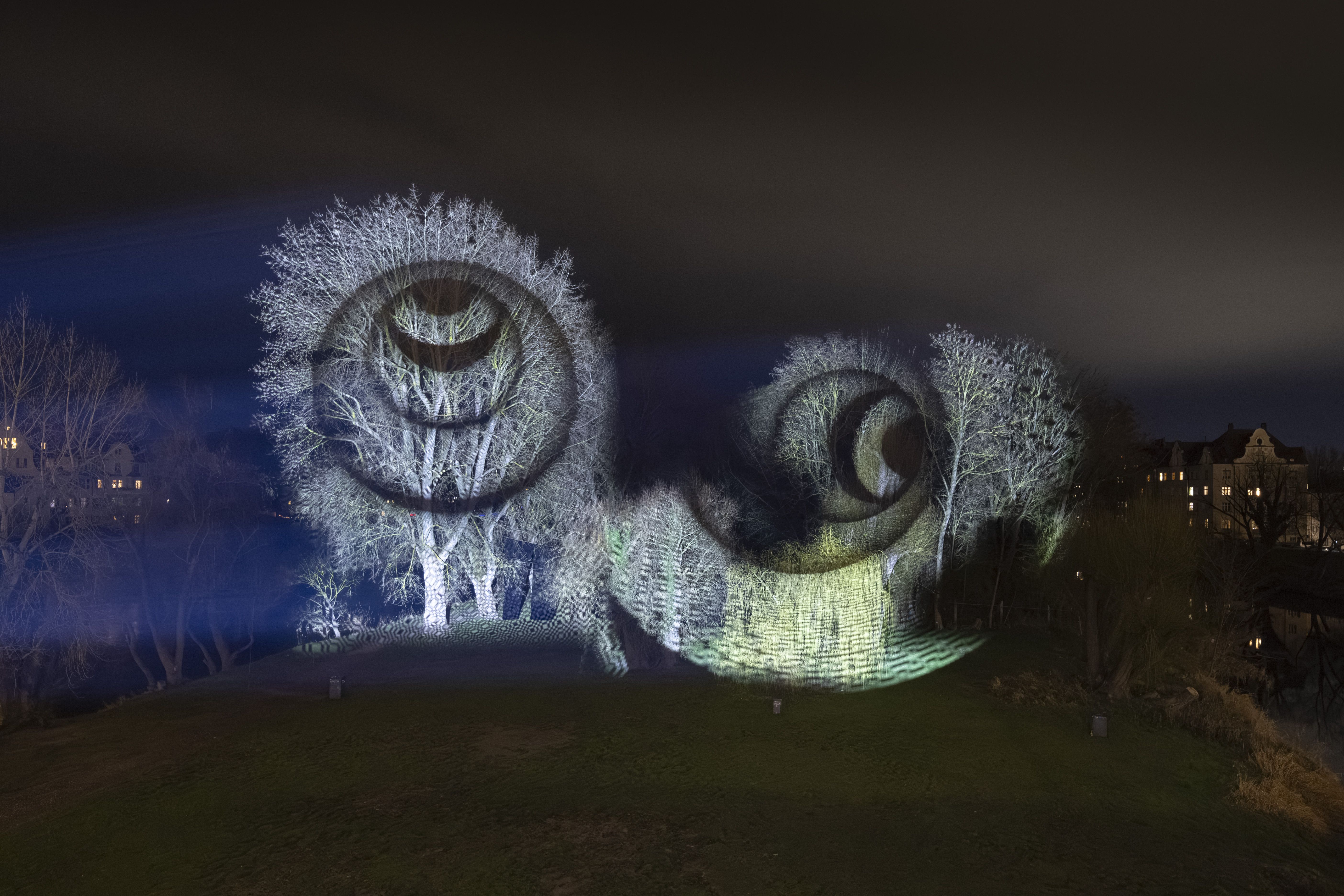 Fotografie – RE.LIGHT Riera, weiß beleuchtete Bäume mit schwarzen Kreisen an der Donau