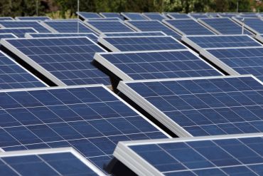 Auf dem Foto sind Photovoltaikmodule zu sehen, diese sind aufgestellt. Im Hintergrund sind Bäume zu sehen.