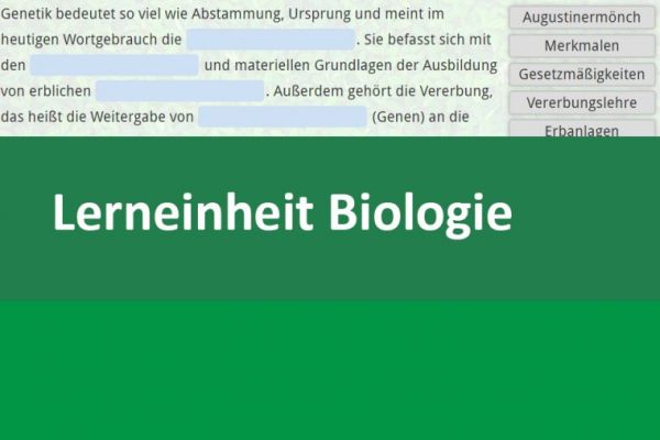 Vorschaubild Interaktive Lerneinheit