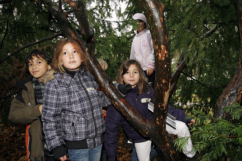 Kinder zeigen Ihre Spiel-, Erlebnis- und Aufenthaltsräume 