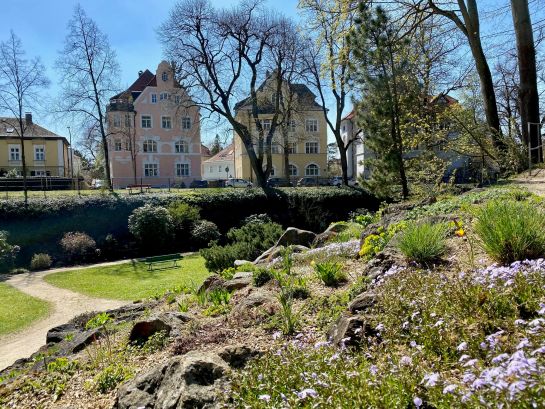 Fotografie: Polsterphlox und Wolfsmilchgewächse das Alpinum im Herzogspark