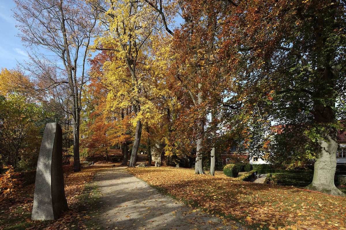 Fotografie: Allee im Herbst