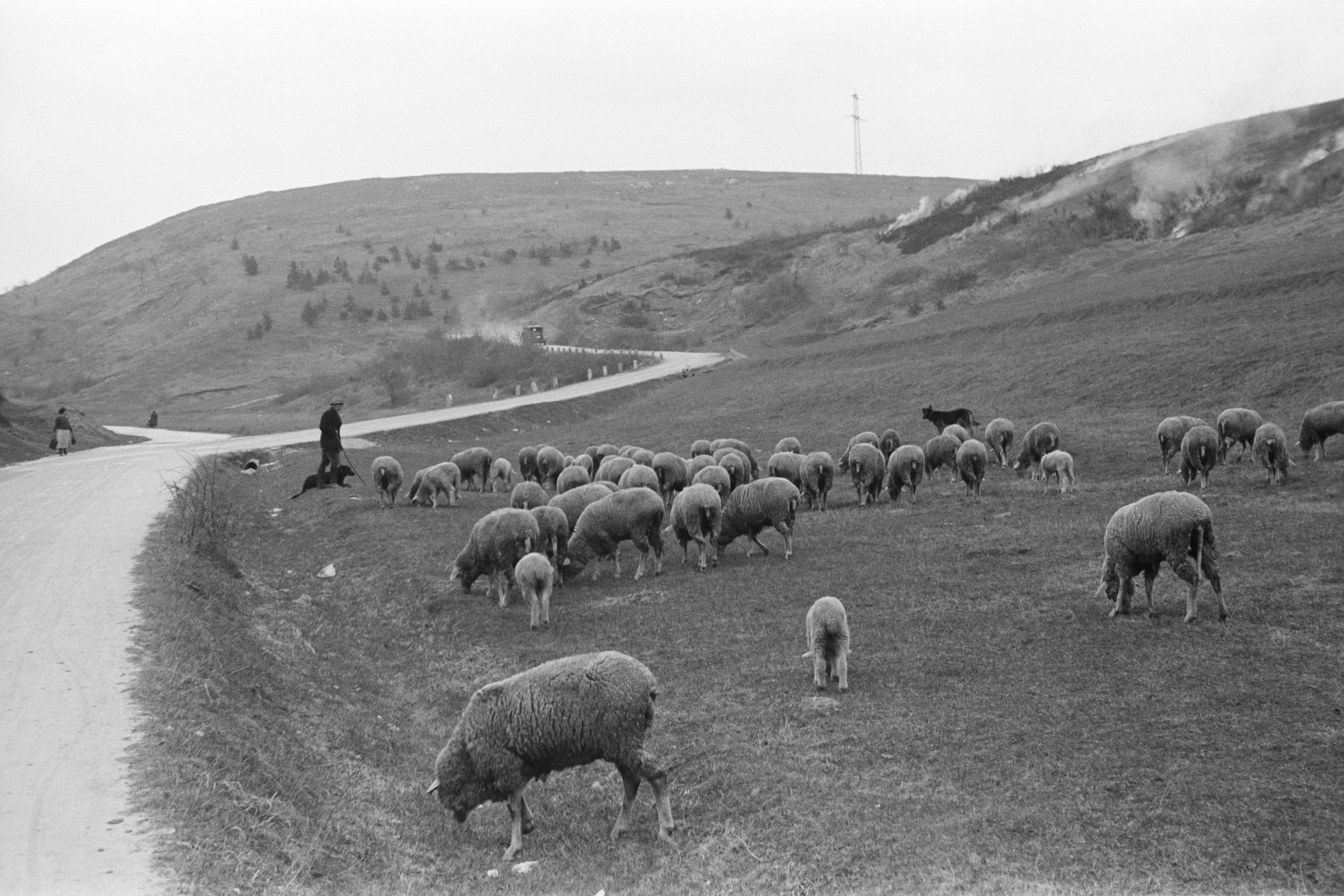 Fotografie: Vordere Keilbergstraße 1940