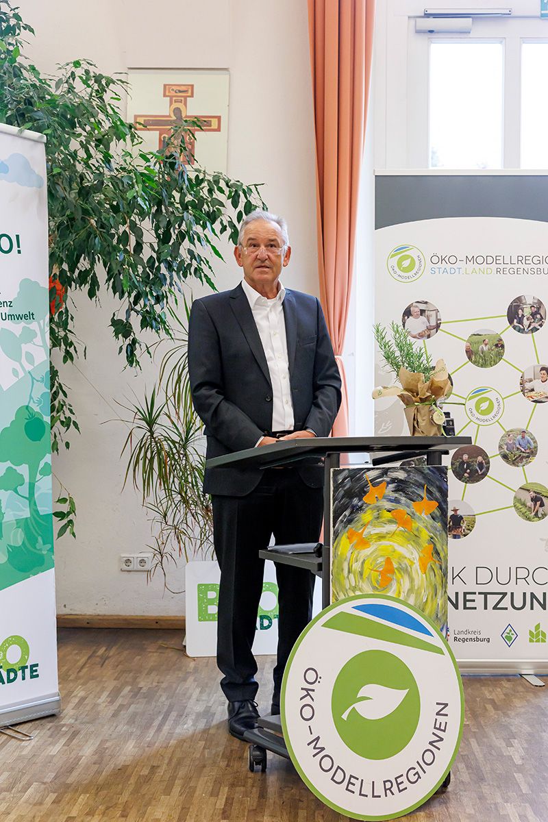 Fotografie - Bürgermeister Ludwig Artinger am Rednerpult