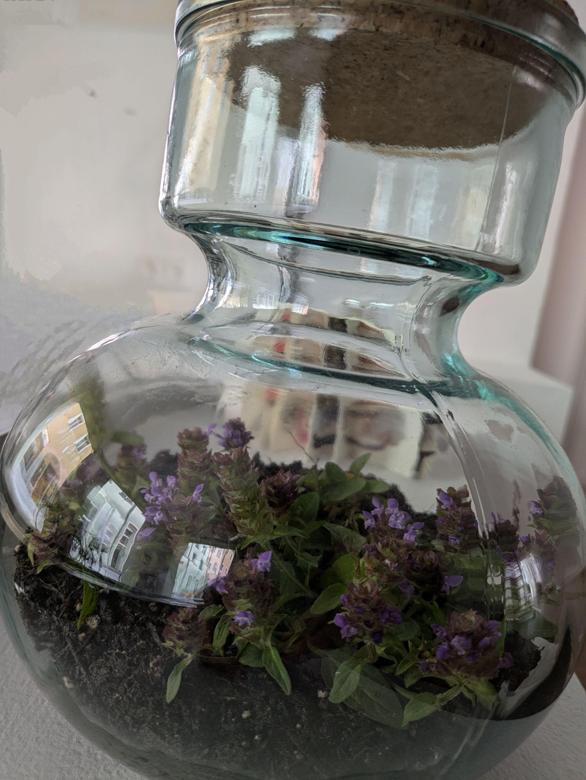 Fotografie – Lilafarbene Blumen in einem Glas