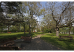 Fotografie - Sitzbänke im Park