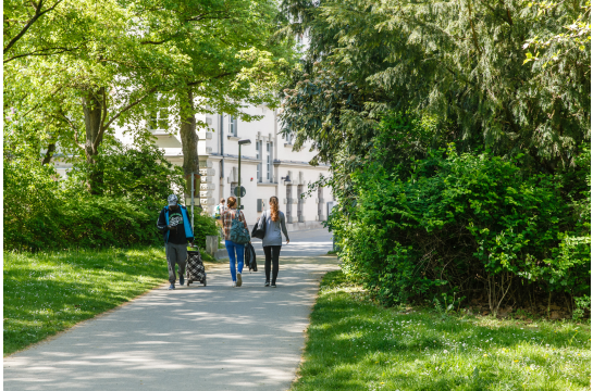 Fotografie: Menschen spazieren im Ostpark.