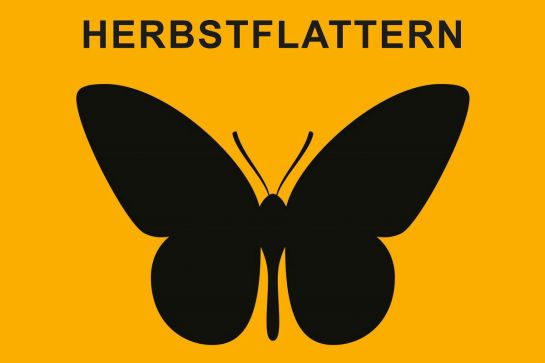 Schwarzer Schmetterling auf gelben Hintergrund - Vorschaubild zum Videomapping-Projekt Herbstflattern