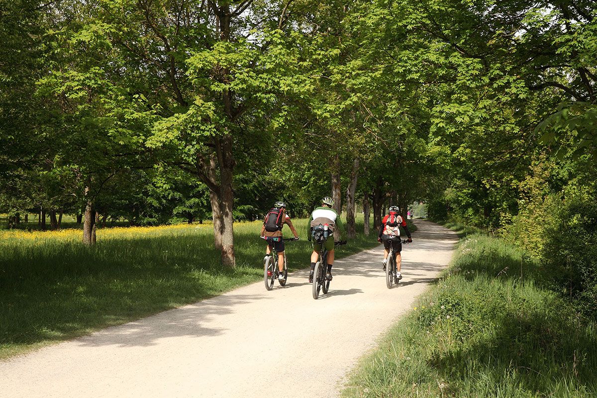 Fotografie - Radfahrer auf Schotterweg