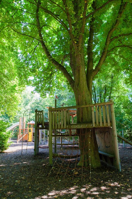 Fotografie: Naturnaher Spielplatz