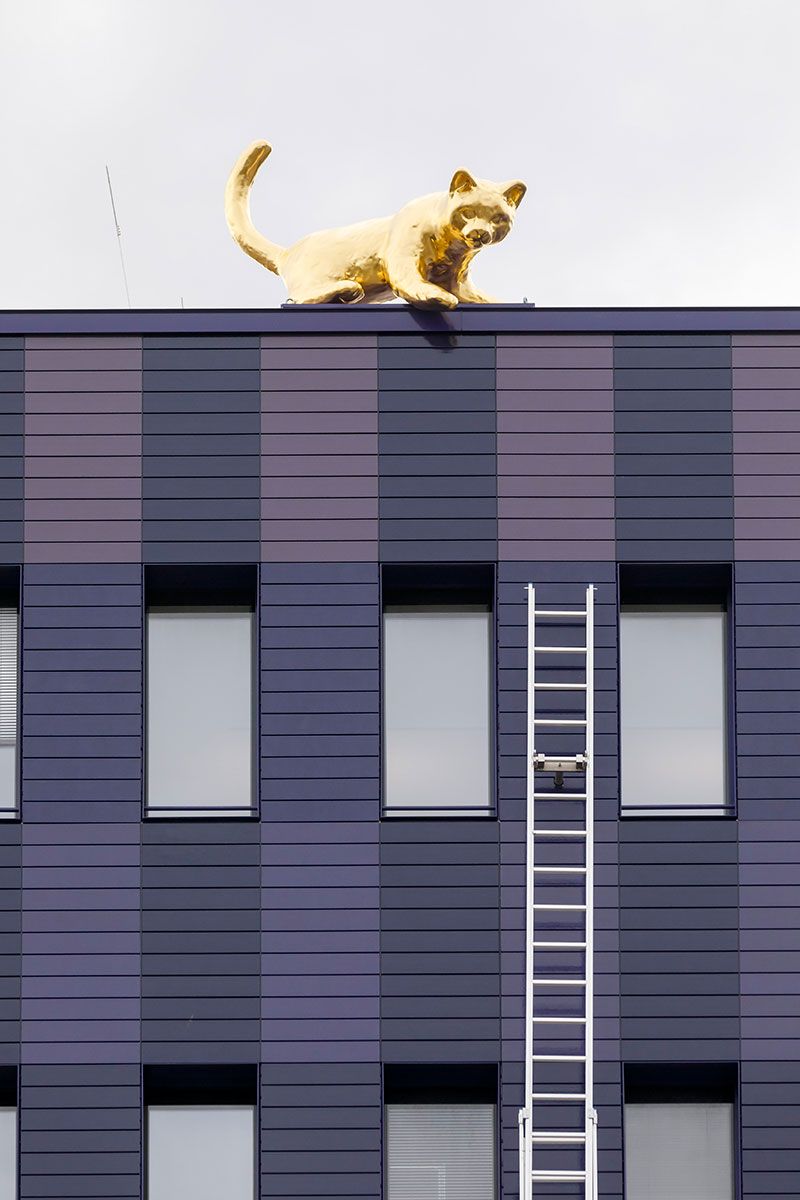 Fotografie - Kunstwerk „Rettet Luzy“ 