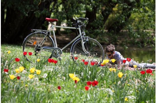 Sport und Freizeit - Radfahren