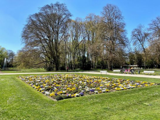 Fotografie: Blumenbeet vor dem Kunstforum Ostdeutsche Galerie