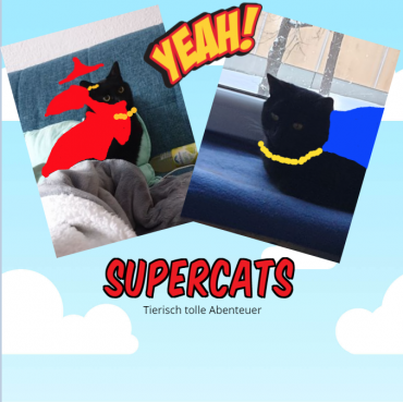 KKB 24. März Supercats