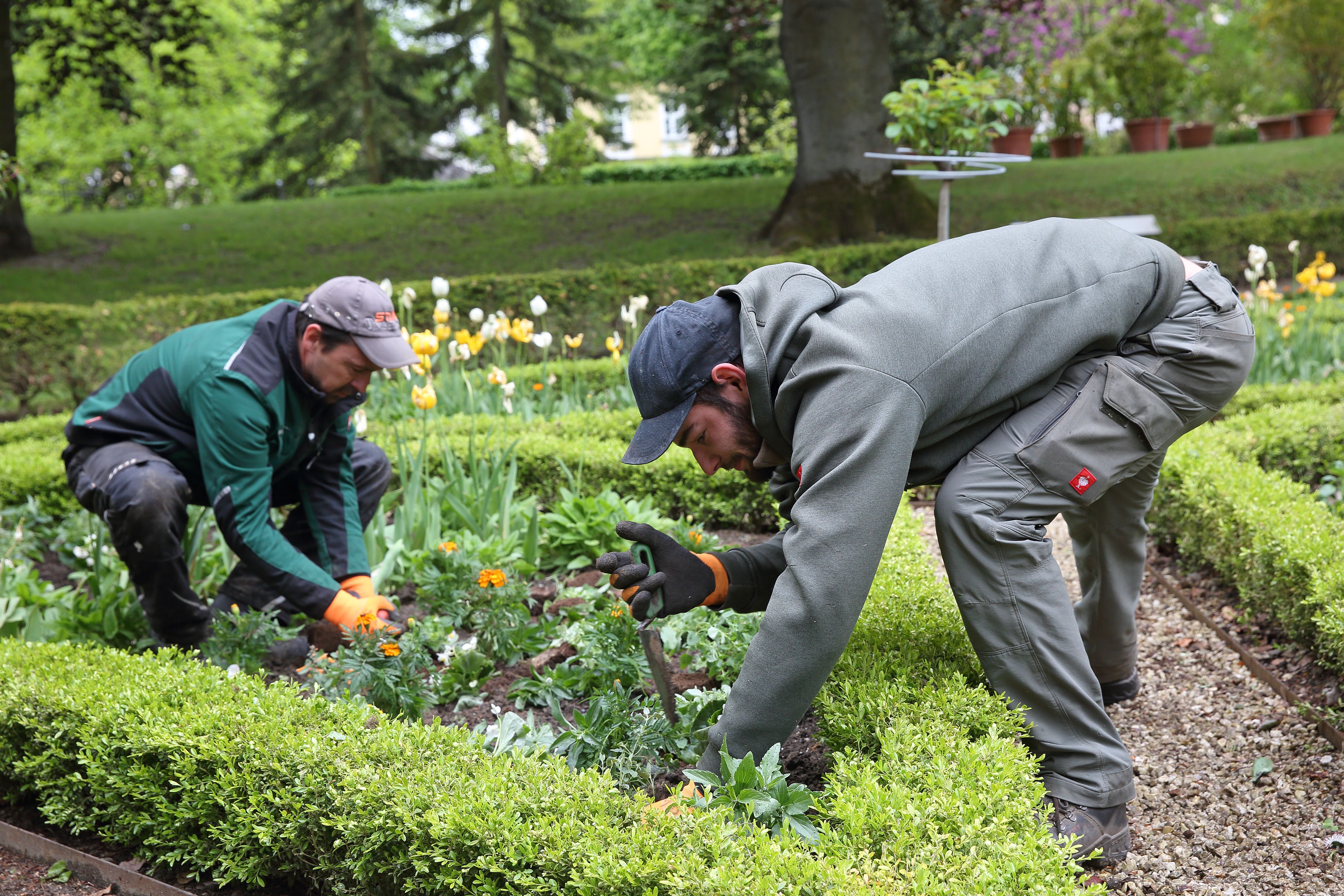 Fotografie: Zwei Mitarbeiter des Gartenamtes bepflanzen ein Beet.