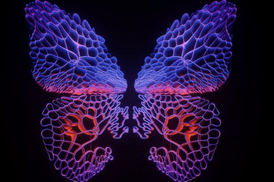 Grafik - Schmetterling auf schwarzem Grund © Clemens Rudolph