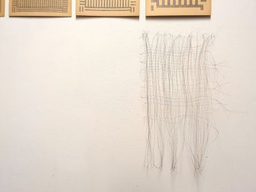 Fotografie – Pferdehaare längsseitig aufgehängt an heller Wand
