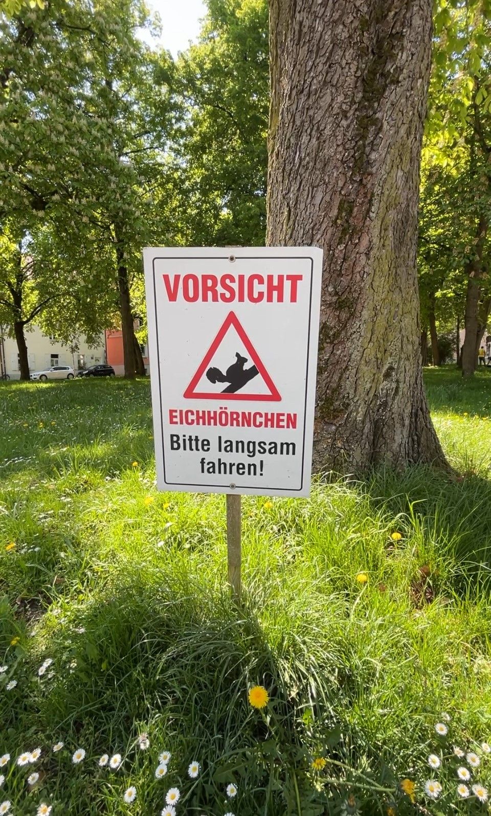 Fotografie: Schild "Vorsicht Eichhörnchen)