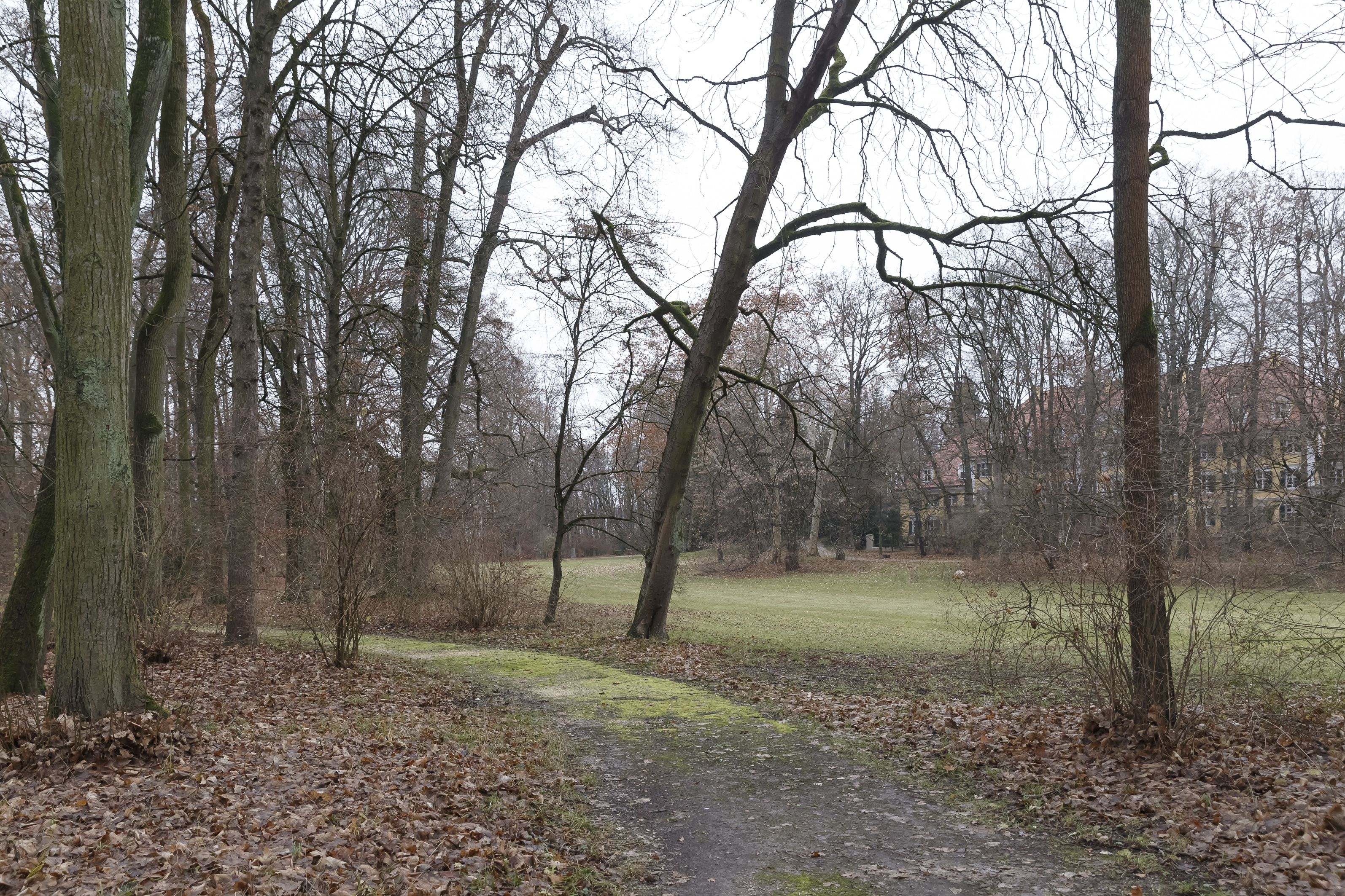 Dörnbergpark 2018