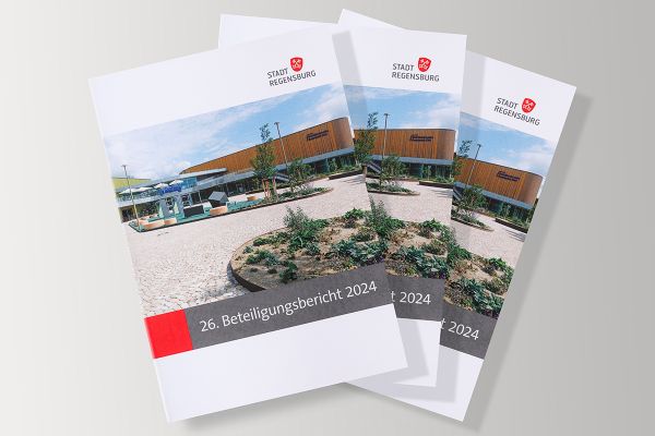 Städtische Unternehmen - Fotografie - mehrere Beteiligungsberichte auf einem Tisch