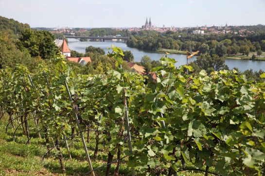 Fotografie: Ausblick von Winzer auf die Altstadt