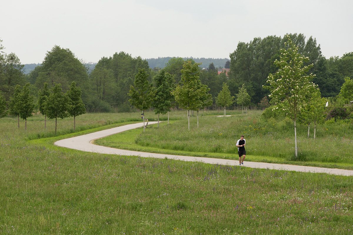 Fotografie - Jogger im Park