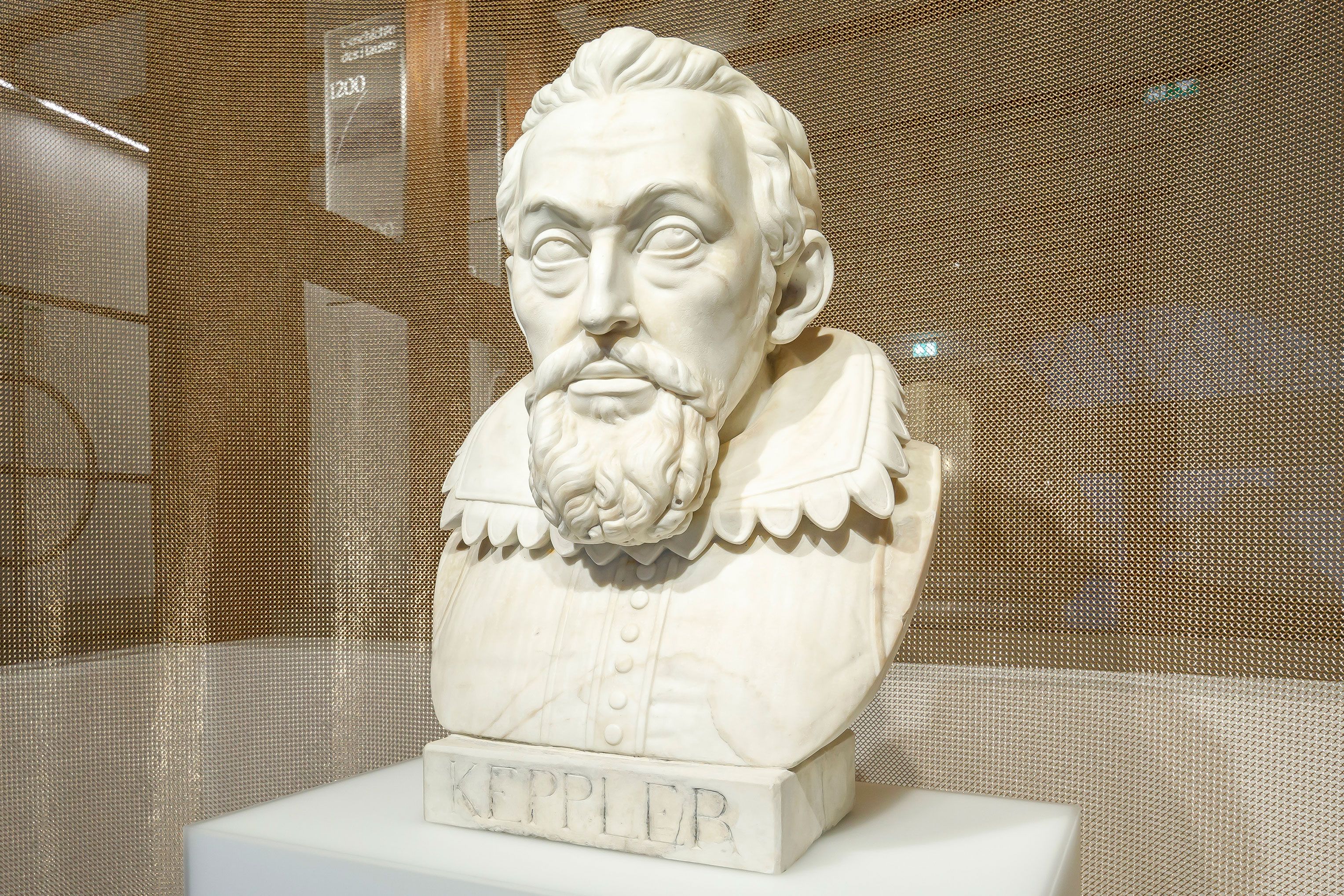Fotografie - Die neu inszenierte Büste des Regensburger Kepler-Denkmals im Eingangsbereich des document Kepler