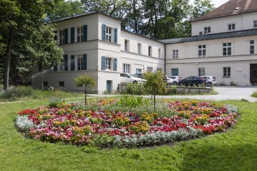 Fotografie: Blumenbeet im Dörnbergpark