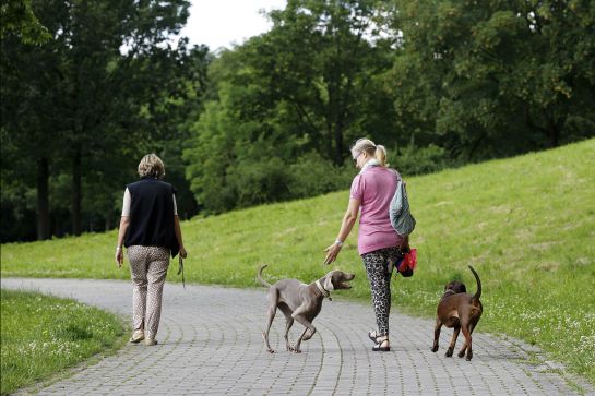 Fotografie: Zwei Frauen führen Hunde spazieren.