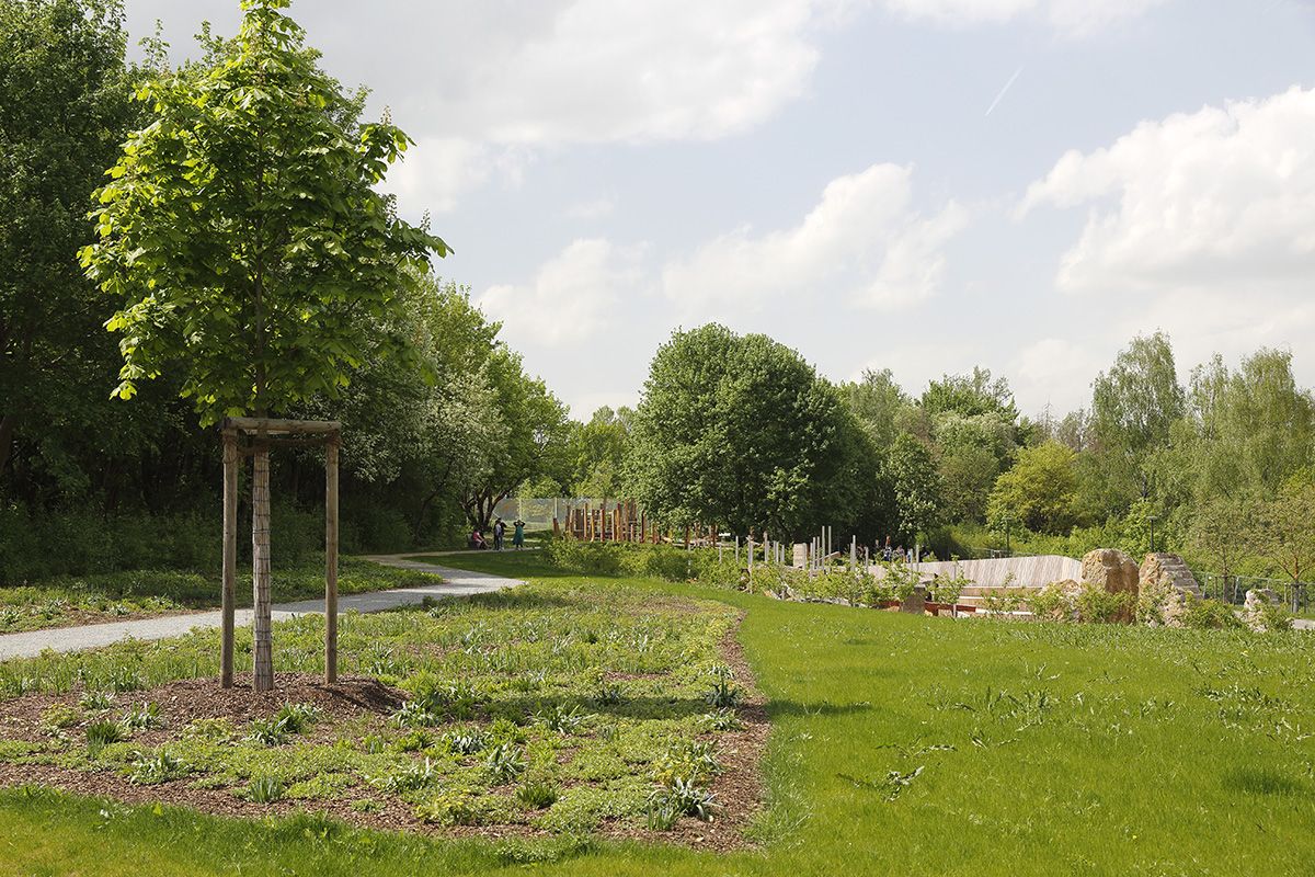 Fotografie - Blick in den Park