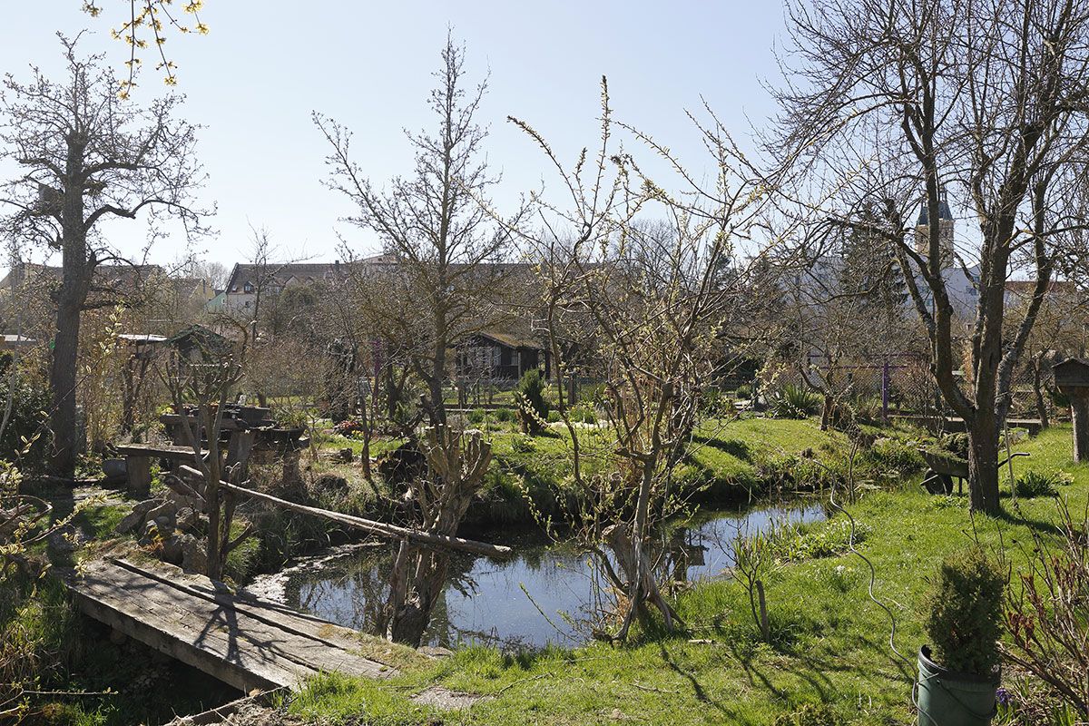 Fotografie: Kleingartenanlage Vitusbach