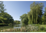 Fotografie: Weiher im Stadtpark