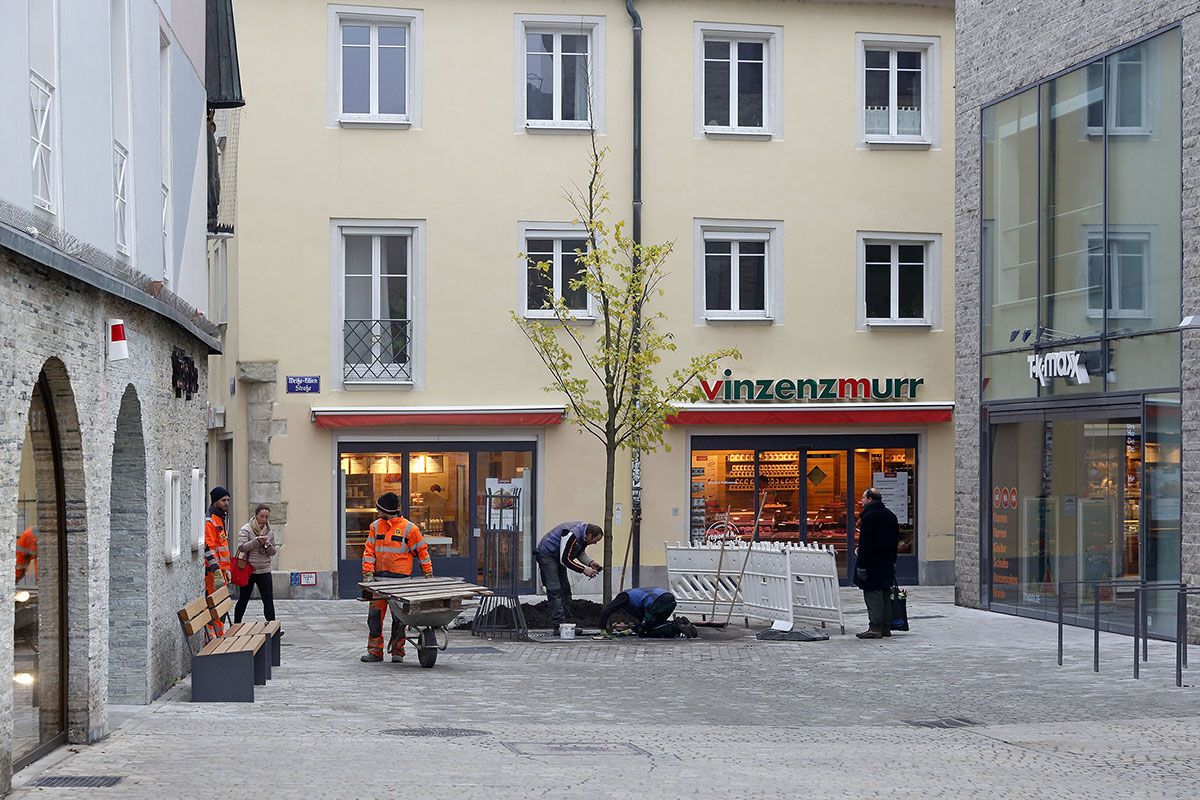 Fußgängerzone - Bauphase 2017 - Baum wird gepflanzt