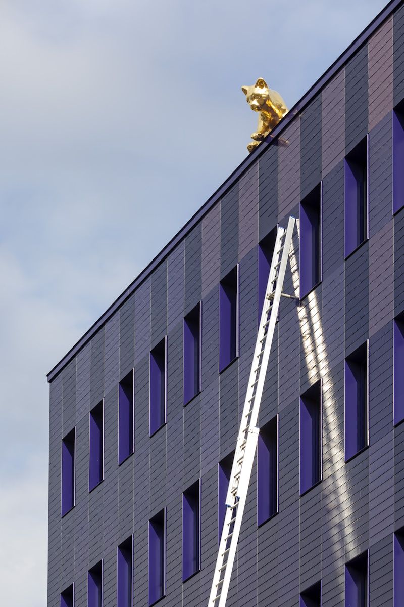 Fotografie - Hauptfeuerwache - Katze Luzy mit Leiter