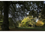 Der Dörnbergpark – ein englischer Landschaftsgarten im Wandel (C) Bilddokumentation Stadt Regensburg