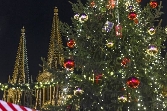 Fotografie: Der Dom erhebt sich hinter einem Weihnachtsbaum. (C) Bilddokumentation Stadt Regensburg