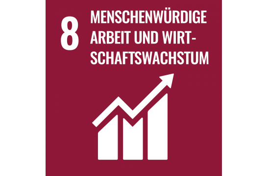 Nachhaltigkeit - Ziel 8 - Menschenwürdige Arbeit und Wirtschaftswachstum