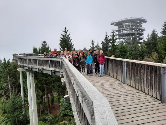Klasse 5a auf dem Waldwipfelweg in Maibrunn (C) HeUl