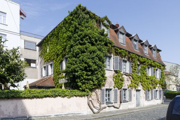 Blick auf einen Altbau und eine Mauer. Die Mauerkrone und die Fassade des Gebäudes sind mit Pflanzen bewachsen.